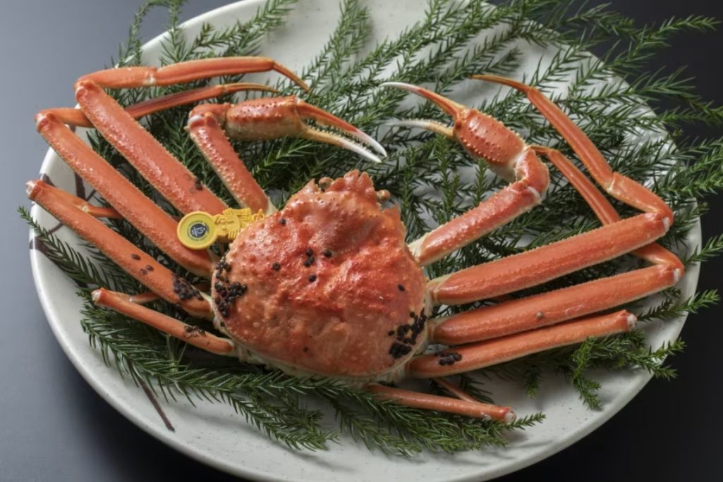 選べる3種類のカニプラン販売開始！